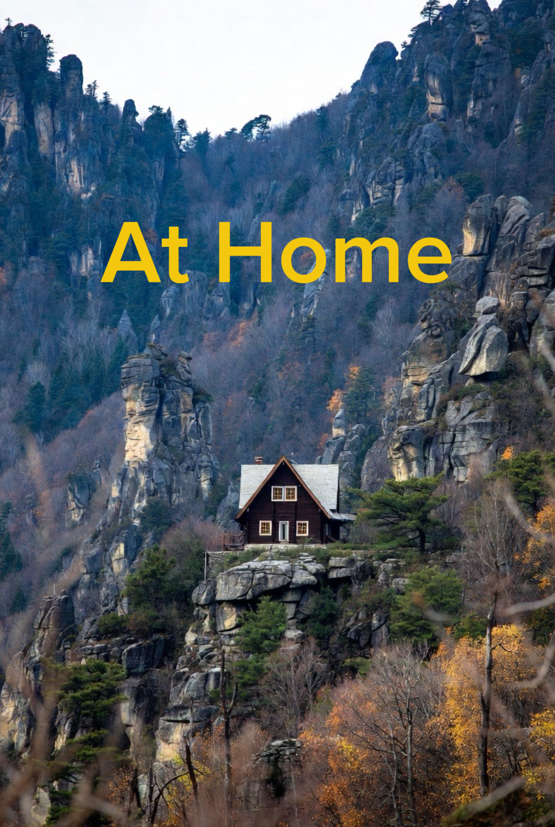 Home wellness solutions